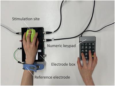 Characteristics of current perception produced by intermediate-frequency contact currents in healthy adults